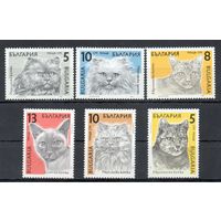 Кошки Болгария 1989 год серия из 6 марок