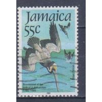 [1759] Ямайка 1985. Фауна.Птицы.Бурый пеликан. Гашеная марка.