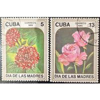 Куба 1985. Флора. Цветы