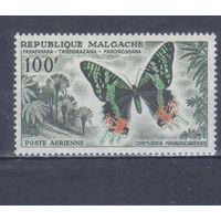 [859] Мадагаскар 1960. Фауна.Бабочка.100 ф. MNH. Кат.6 е.