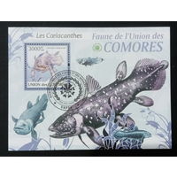 ФАУНА РЫБЫ МОРСКИЕ ОБИТАТЕЛИ    БЛОК  сто