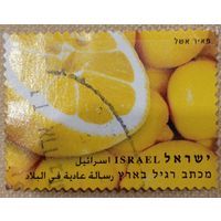 Израиль. Флора. Апельсины