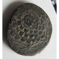 Тетрахалк Синопа