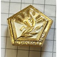 За успехи в труде