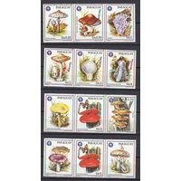 Флора. Грибы. Парагвай. 1986. 12 марок в 4-х сцепках (MUESTRA). Michel N 3950-3956 (12,3+ е)