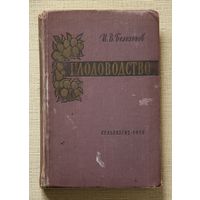 И. В. Белохонов. Плодоводство