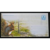 Беларусь 2009 фауна белка /с бумагой/