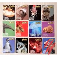 Карточки "Cheetos". "Читос". "Странные и смешные животные". Цена за 1шт.