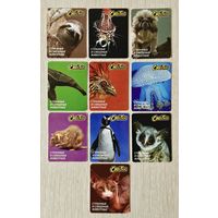 Карточки "Cheetos". "Читос". "Странные и смешные животные". Цена за 1шт.