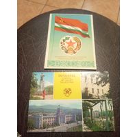 Герб и флаг ТССР.