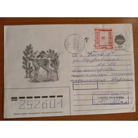 Украина провизорий Николаев 8 по каталогу Лобко 162-В фауна