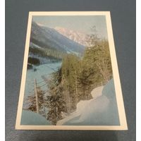 Открытка "Кавказ. Домбай. Долина реки Теберда"  фото В.Панова 1968г. чистая
