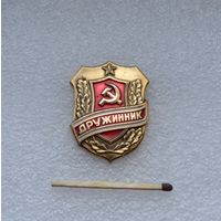 Дружинник.