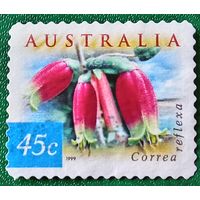 Австралия 1999. Цветок лесная фуксия