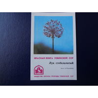 Календарик 1982 г.  Красная книга Уз.ССР.  Лук стебельчатый.