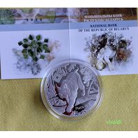 Заказник,"Синьша" . 2020г,серебо.