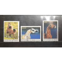Бенин. 1996 год. Фауна. Лошади (1215)