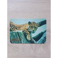 Календарик 1993