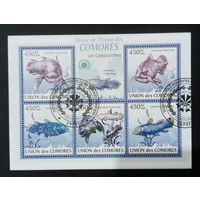 ФАУНА РЫБЫ МОРСКИЕ ОБИТАТЕЛИ    БЛОК  сто