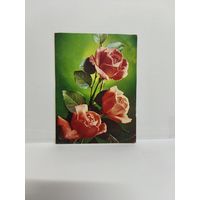 Двойная почтовая открытка для телеграмм, б/у. 1986г. Серия Е-52. Фото Г. Костенко. 14