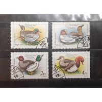 Венгрия. 1988 год. Фауна. Птицы. Утки (447)