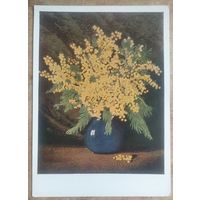 Ванеева З.Н. Мимозы. 1960 г. Чистая.