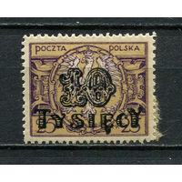 Польша - 1923 - Надпечатка 1000М на 25М - [Mi.185] - 1 марка. MH.  (Лот 15JM)-TG2P22
