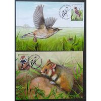 Беларусь 2021 КМ Исчезающие виды национальной дикой природа.