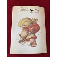 Грибы. Выпуск второй. Художник А. Шипиленко. 1984 год. 8 из 16 открыток