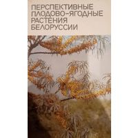 Перспективные плодово-ягодные растения Белоруссии