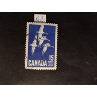Канада  1963 утки