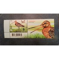 Фауна Птицы Беларуси. Большой веретенник Беларусь 2025 ** купон
