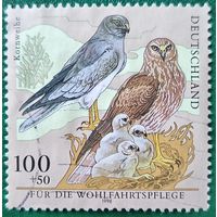 Германия 1998. Полевой лунь