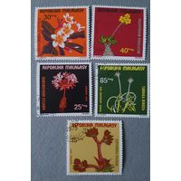 Мадагаскар цветы 5шт