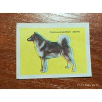 Спичечная этикетка Карело-финская лайка