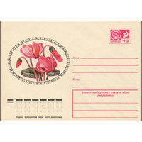 Художественный маркированный конверт СССР N 10828 (29.09.1975) Цикламены