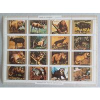 Умм-эль-Кайвайн. Животный мир.