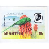 Открытка Лесото 1982г. Фауна.Птицы.Нектарница.