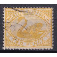 155.Aust. Великобритания. Австралийские штаты. Западная Австралия. Чёрный лебедь. Стандарт. 1899 г. 2p. Mi.#45.
