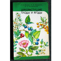 Дикорастущие плоды и ягоды