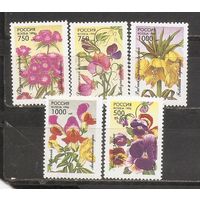 ФФ1 Россия 1996 Цветы