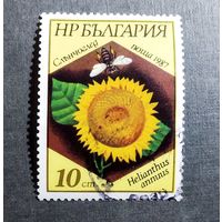 Марка Болгария 1987 год