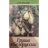 Г. П. Рылов. Груша в Белоруссии