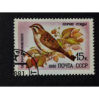 1981 СССР. Певчие птицы. Овсянка Янковского