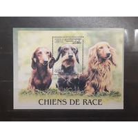 Камбоджа. 2000 год. Фауна. Собаки. Блок (796)