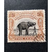 Великобритания. Северное Борнео\397с\ 1909 фауна Азиатский слон. Зуб.14
