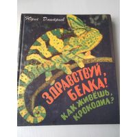 Здравствуй, белка! Как живешь, крокодил? Рассказы. /86