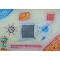 Математическая, смешанная техника,  2008, Котов Олег