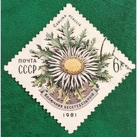 СССР 1981. Колючник бесстебельный