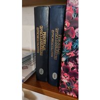 Крестовский, Петербургские трущобы, 2 тома
